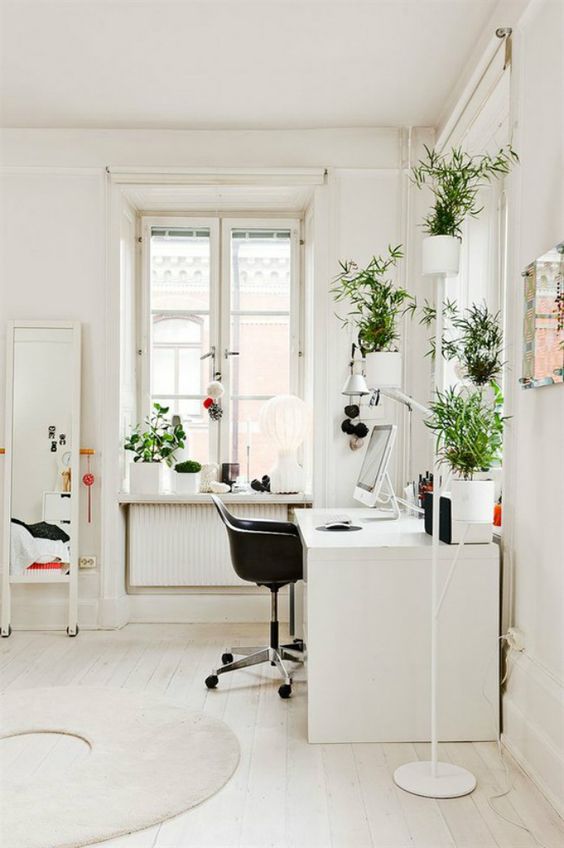 plants in white home office
