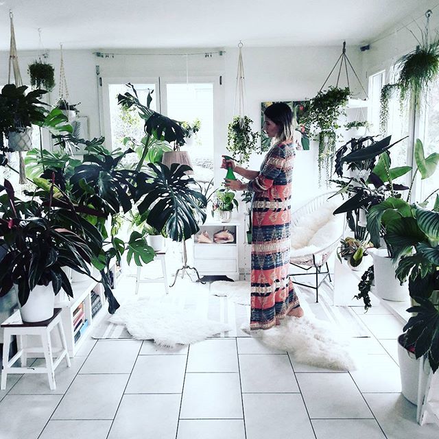 meeschmid_plantlady misting houseplants