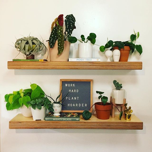 two-layer of plants shelf by @workhardplanthard